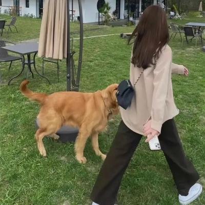 虽然没准备什么菜第二季
